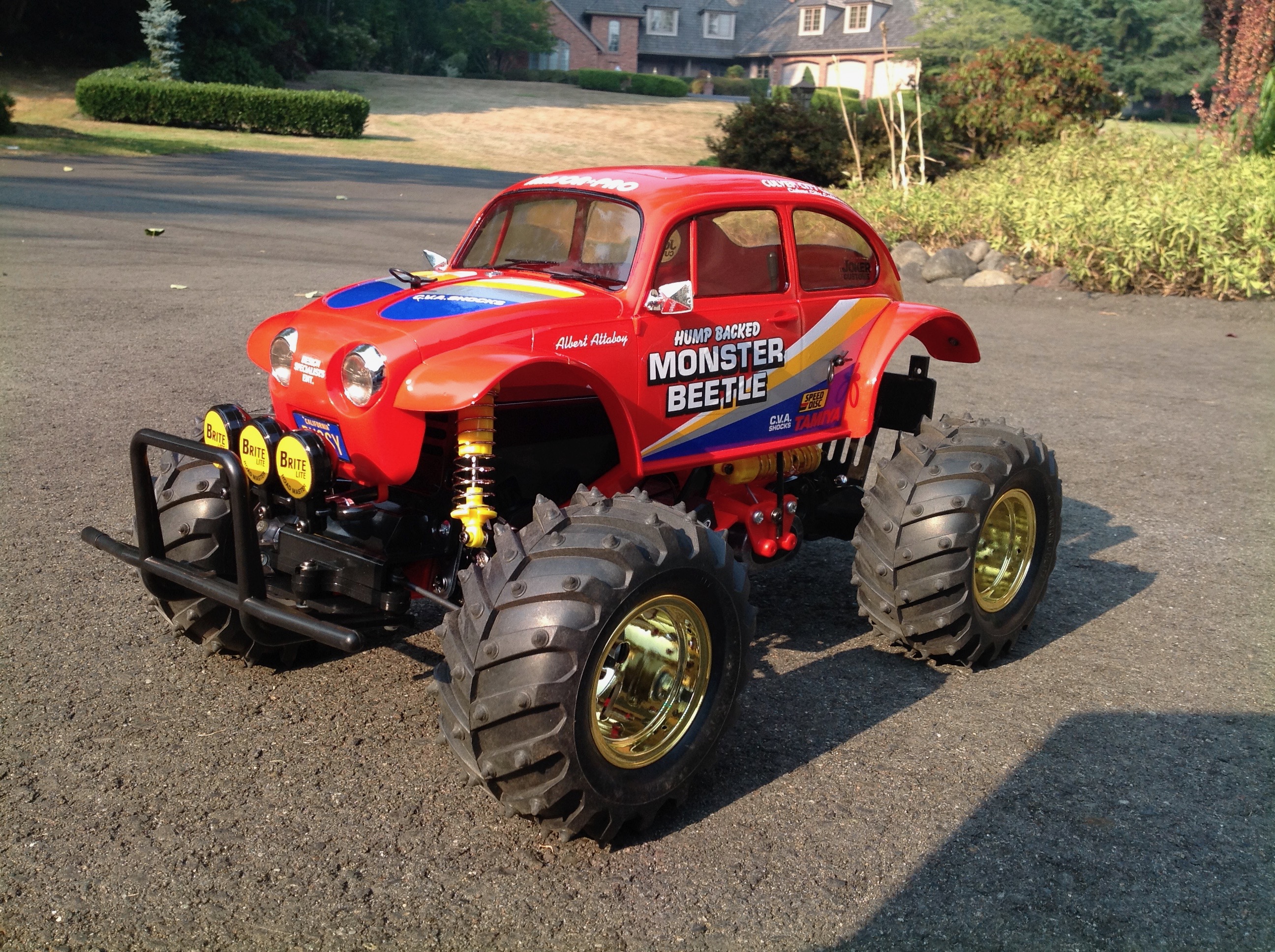 monster beetle lexan body